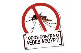 Organização da Atenção Básica para o combate ao Aedes aegypti e doenças relacionadas no Estado do Rio Grande do Sul