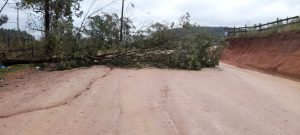 Equipe de Obras e Agricultura trabalharam intensamente para minimizar os estragos causado pela passagem do ciclone.