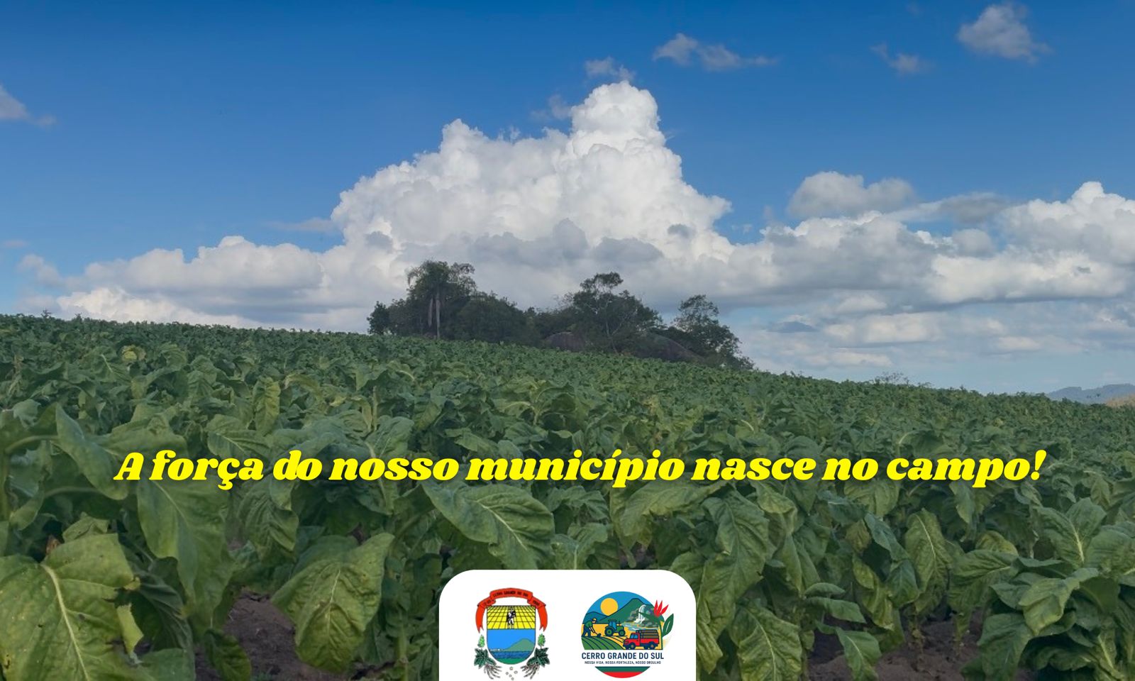 Cerro Grande do Sul
