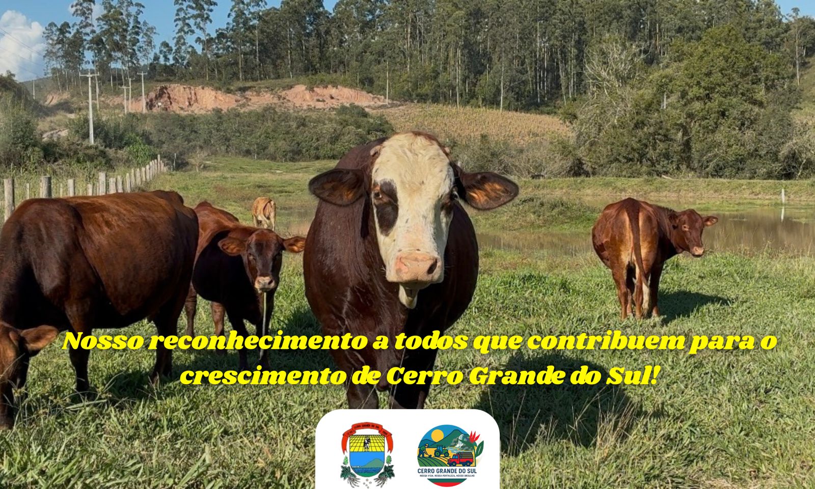 Cerro Grande do Sul